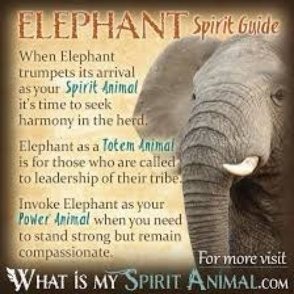 Protection Evil Eye Lucky elephant bracelet - Picture 11 of 12